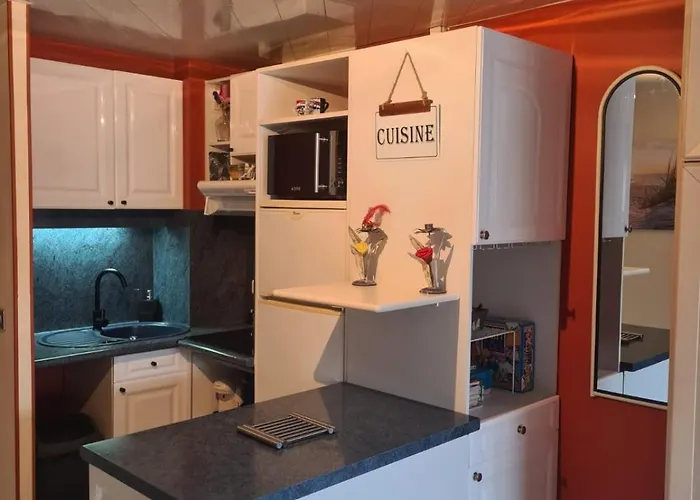 élégant 30 M2 Dans Résidence 4 étoiles Agde