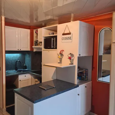 Elegant 30 M2 Dans 4 Etoiles Agde